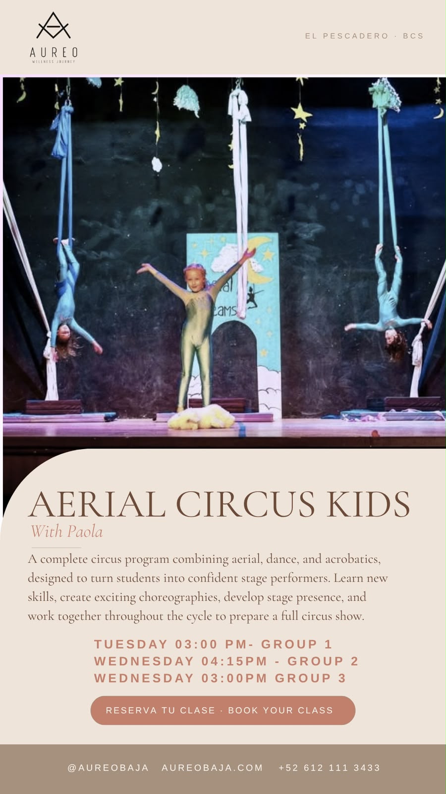 Aerial Circus Kids with Paola poster