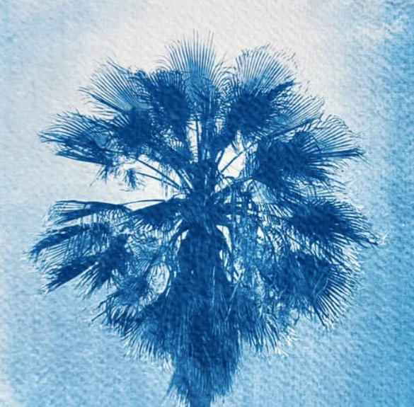 Cyanotype Workshop at Earth Art Studio poster