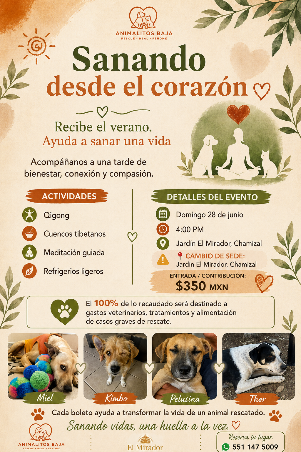 Sanando desde el corazon ❤️‍🩹 poster