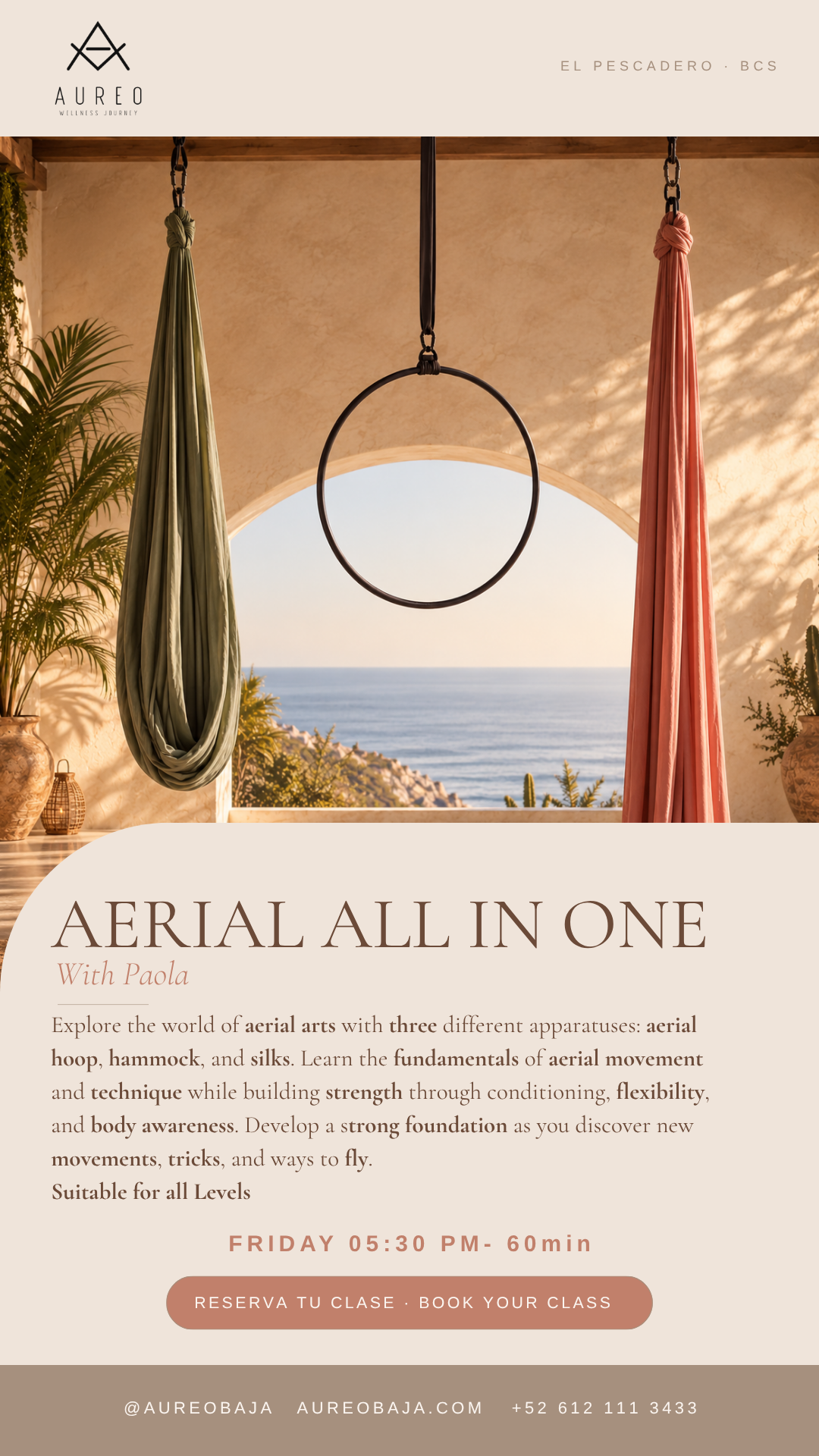 Aerial All in One with Paola poster