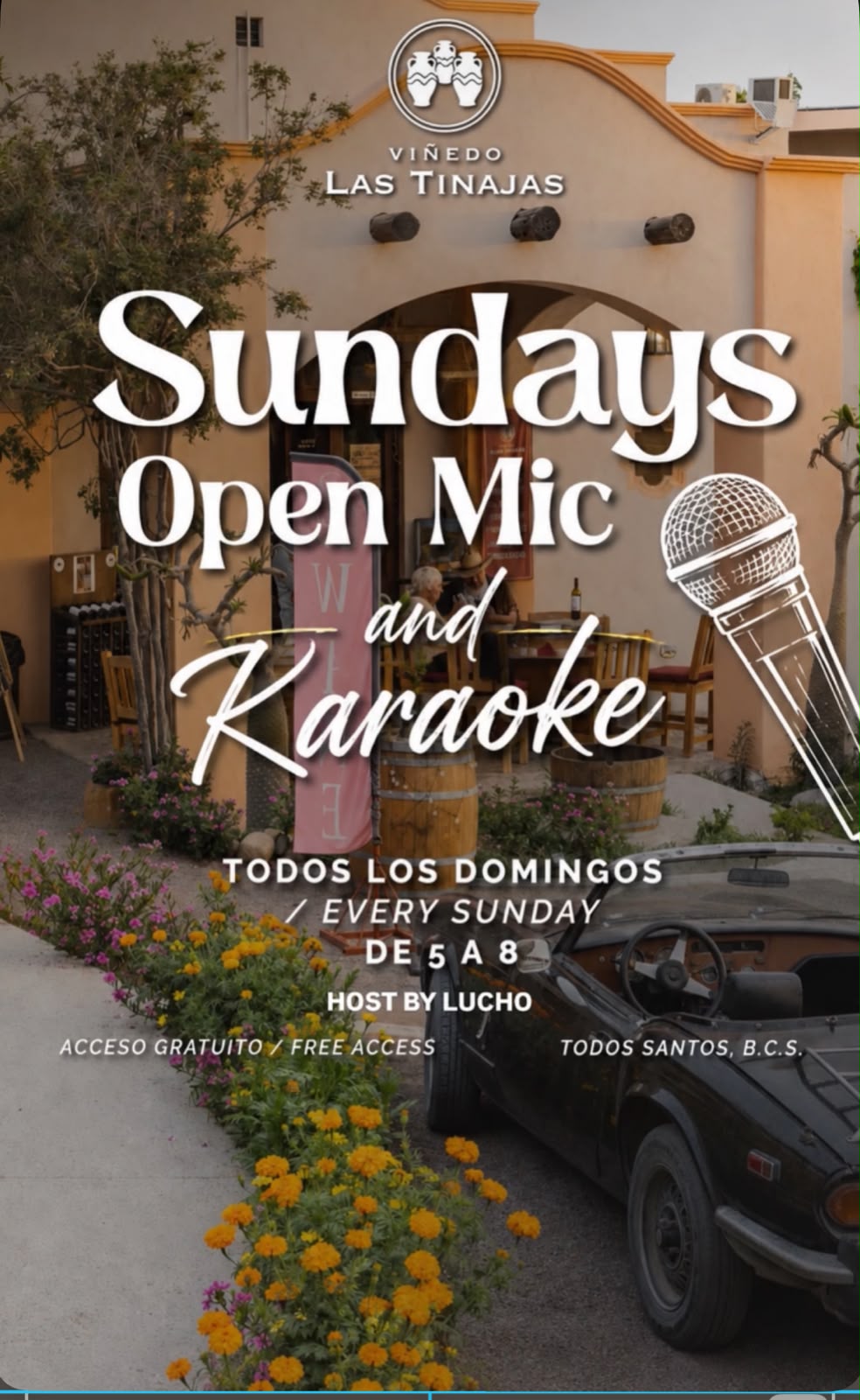 OPEN MIC AND KARAOKE VIÑEDO LAS TINAJAS poster