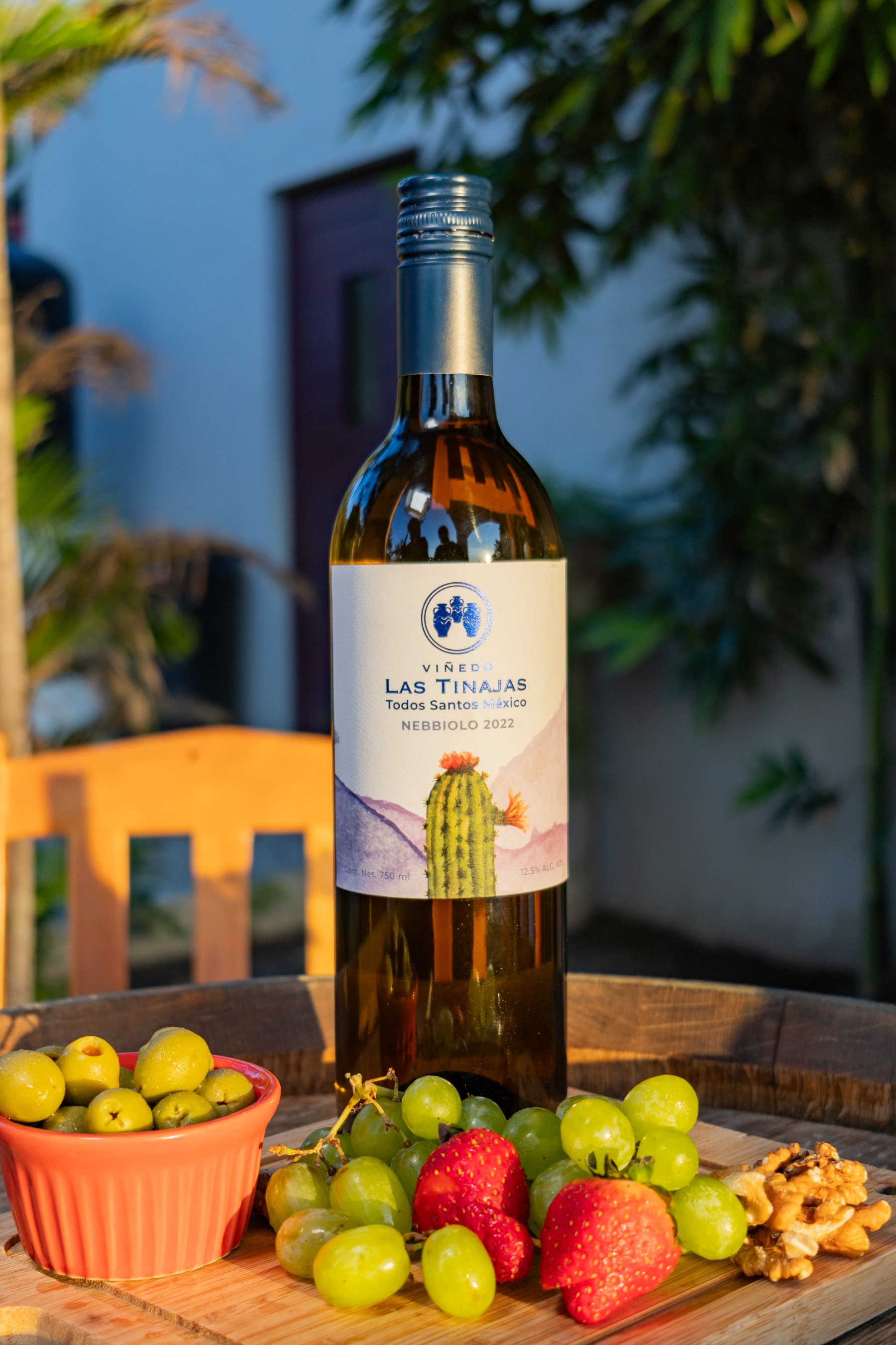 OPEN MIC VIÑEDO LAS TINAJAS