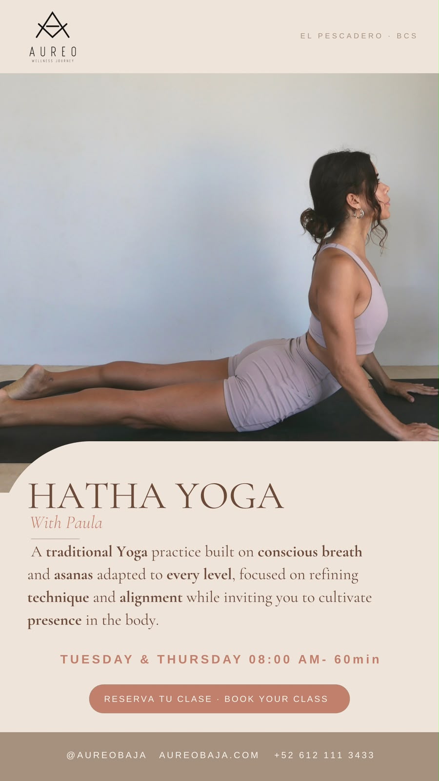 Hatha Yoga poster