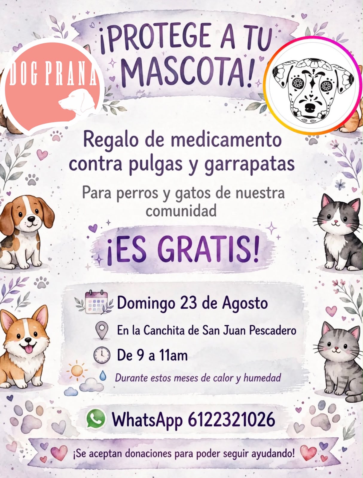 Dog Prana - Free Flea and Tick Medicine Distribution poster