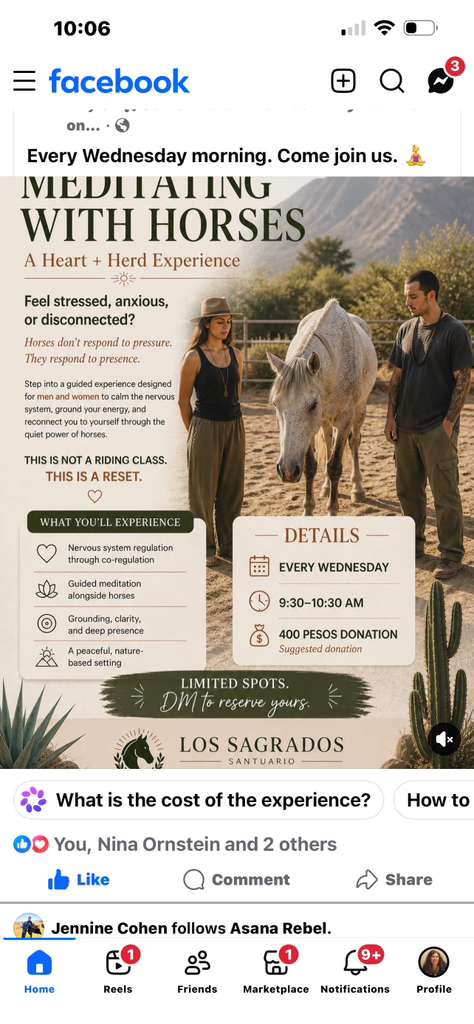 Meditation with Horses poster