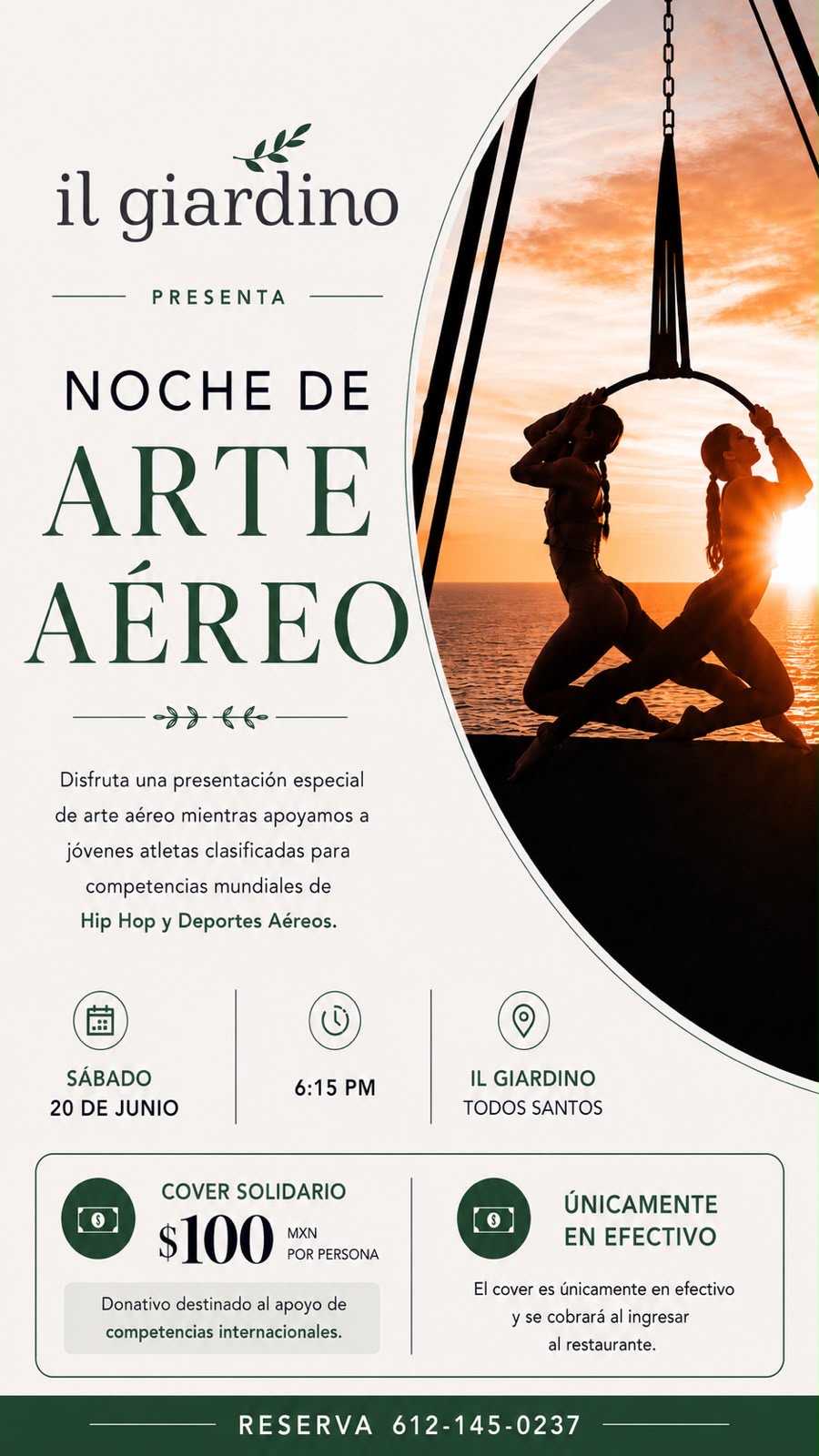 Noche de Arte Aéreo poster