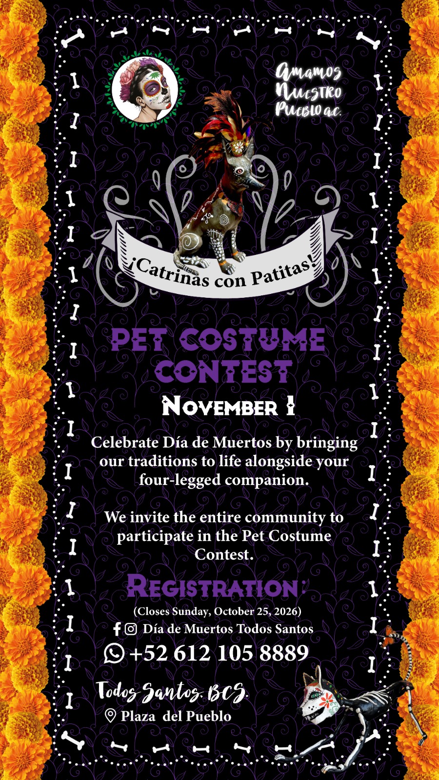 Pet Costume Contest - Día de Muertos poster