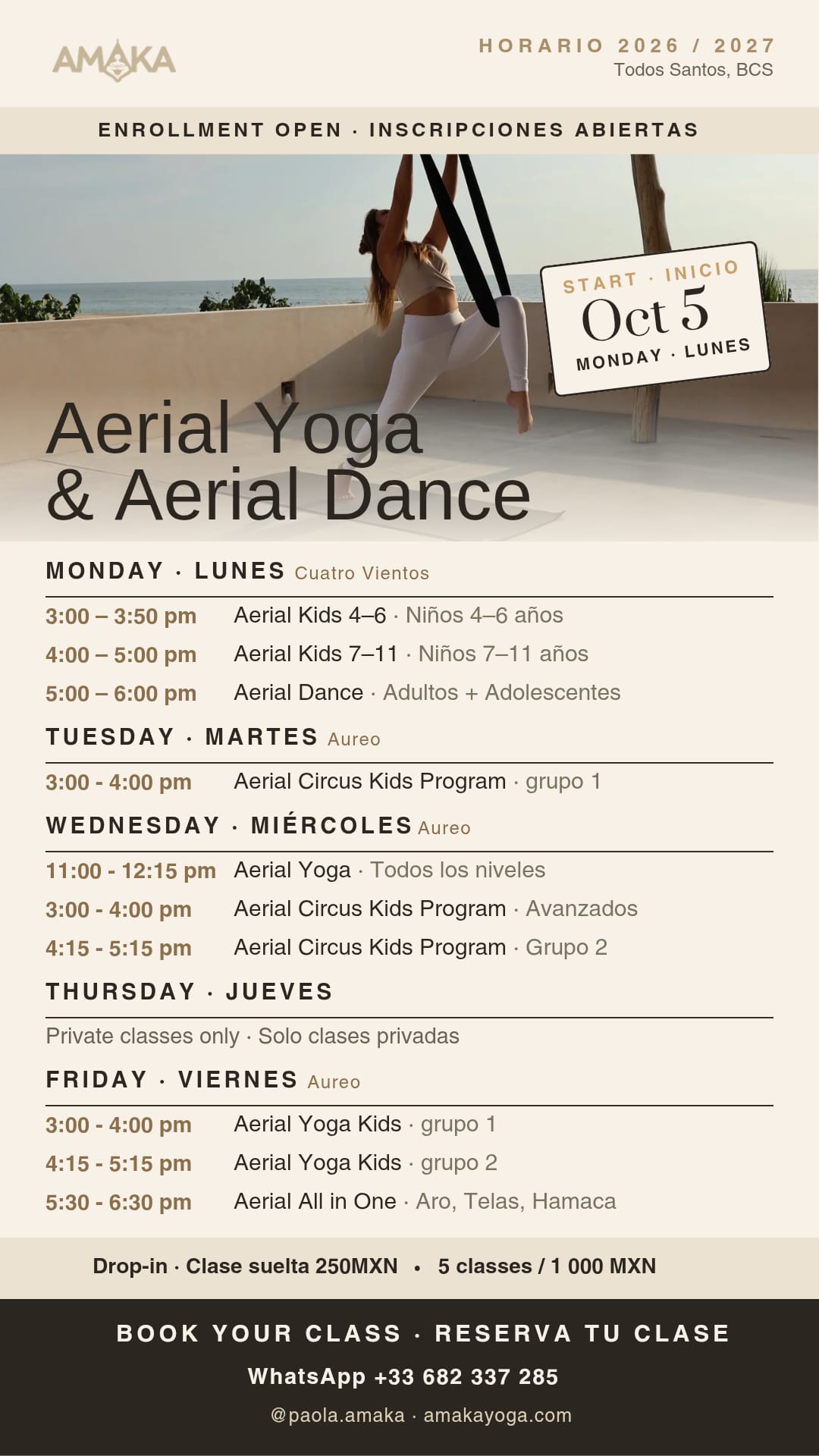 Aerial Kids poster