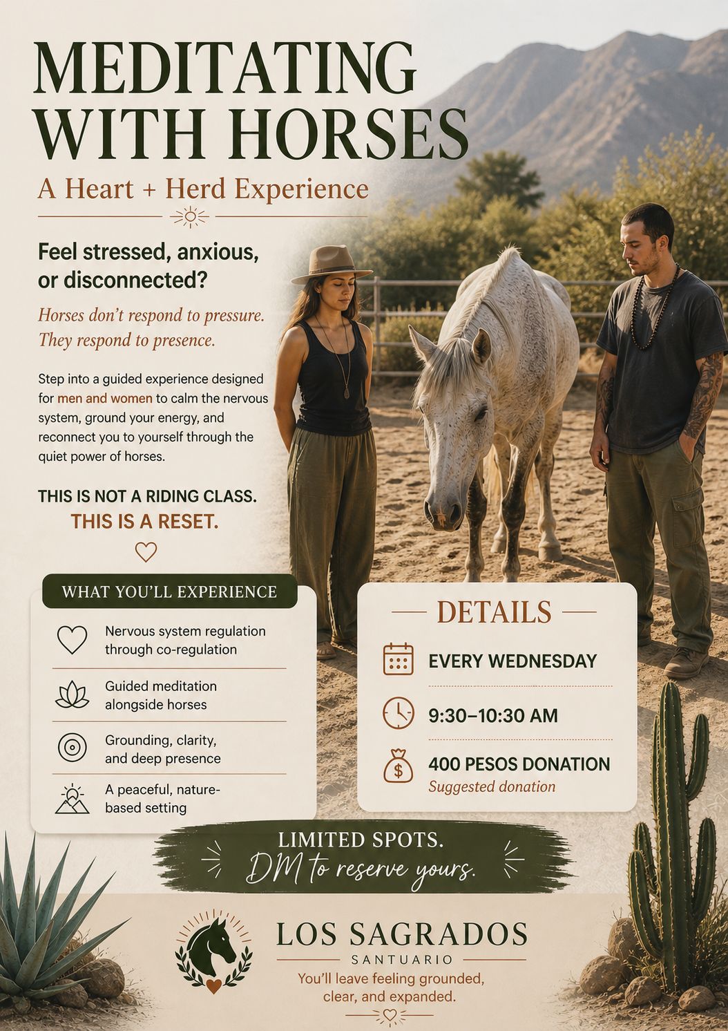 Meditating with Horses: A Heart + Herd Experience poster
