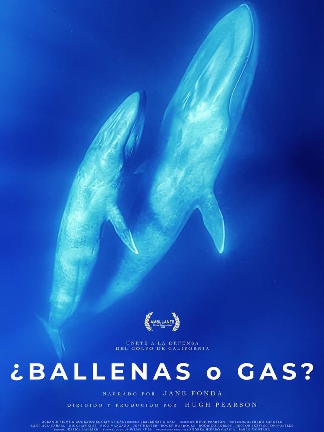 ¿Ballenas o Gas? (Whales or Gas?) - Documentary Short Screening