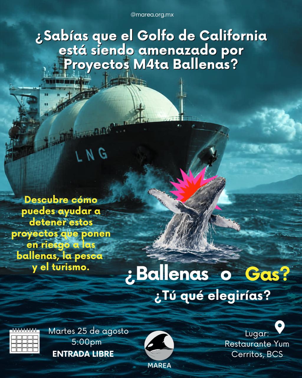 Whales or Gas? Information Session on M4ta Ballenas Projects poster