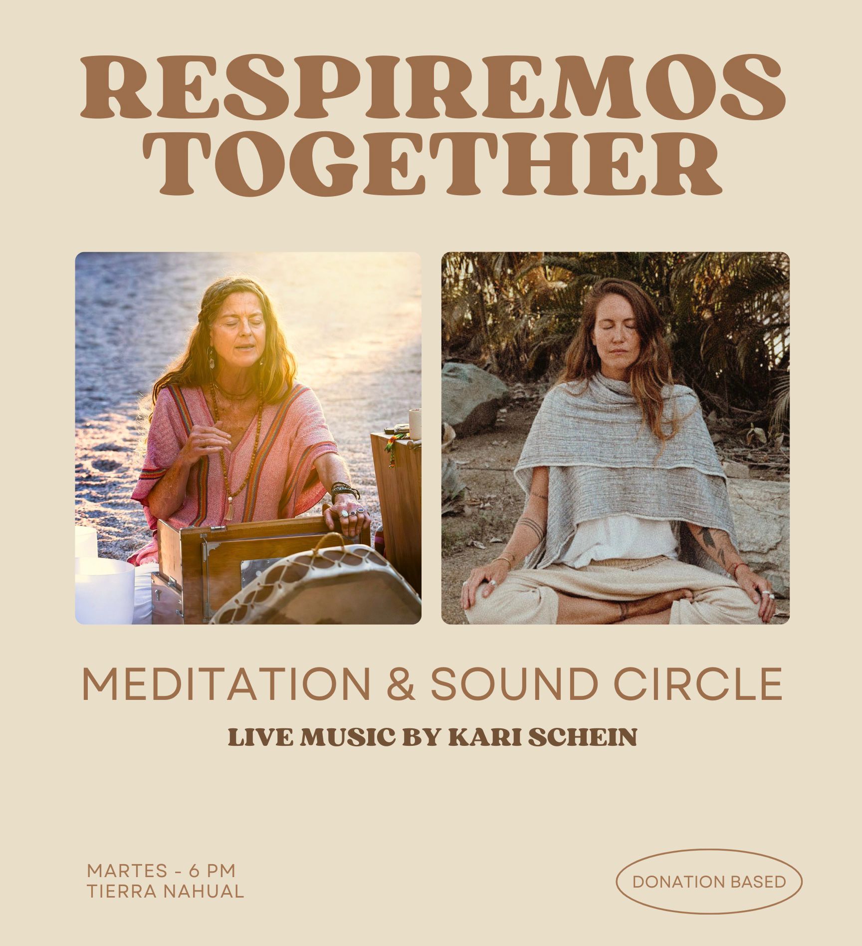 Support Circle with Kari Schein poster