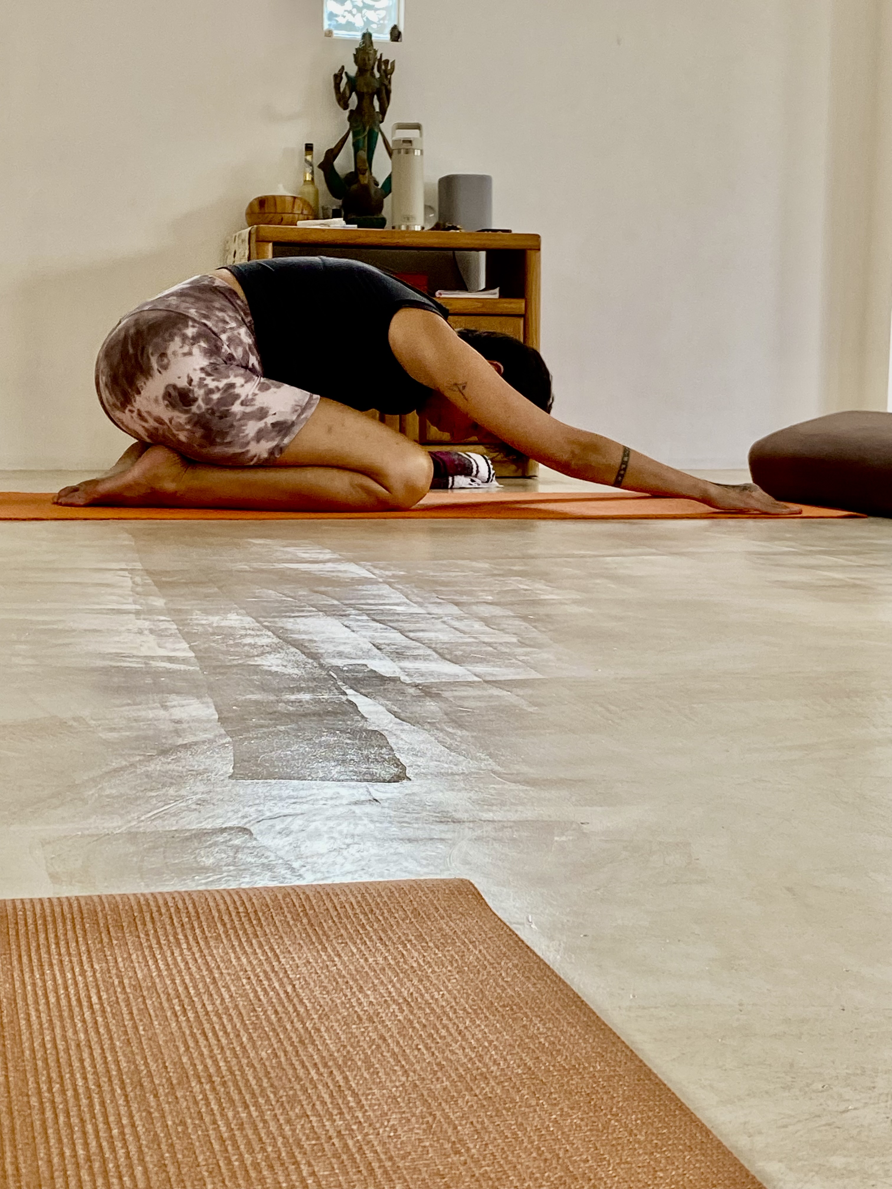 Integrative Hatha Yoga poster