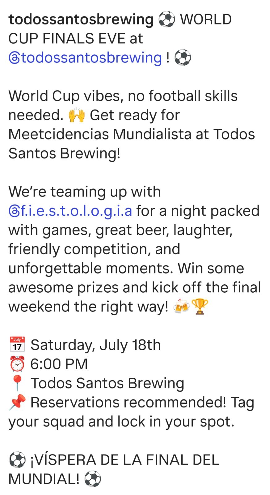 World Cup Finals Eve at Todos Santos Brewing poster