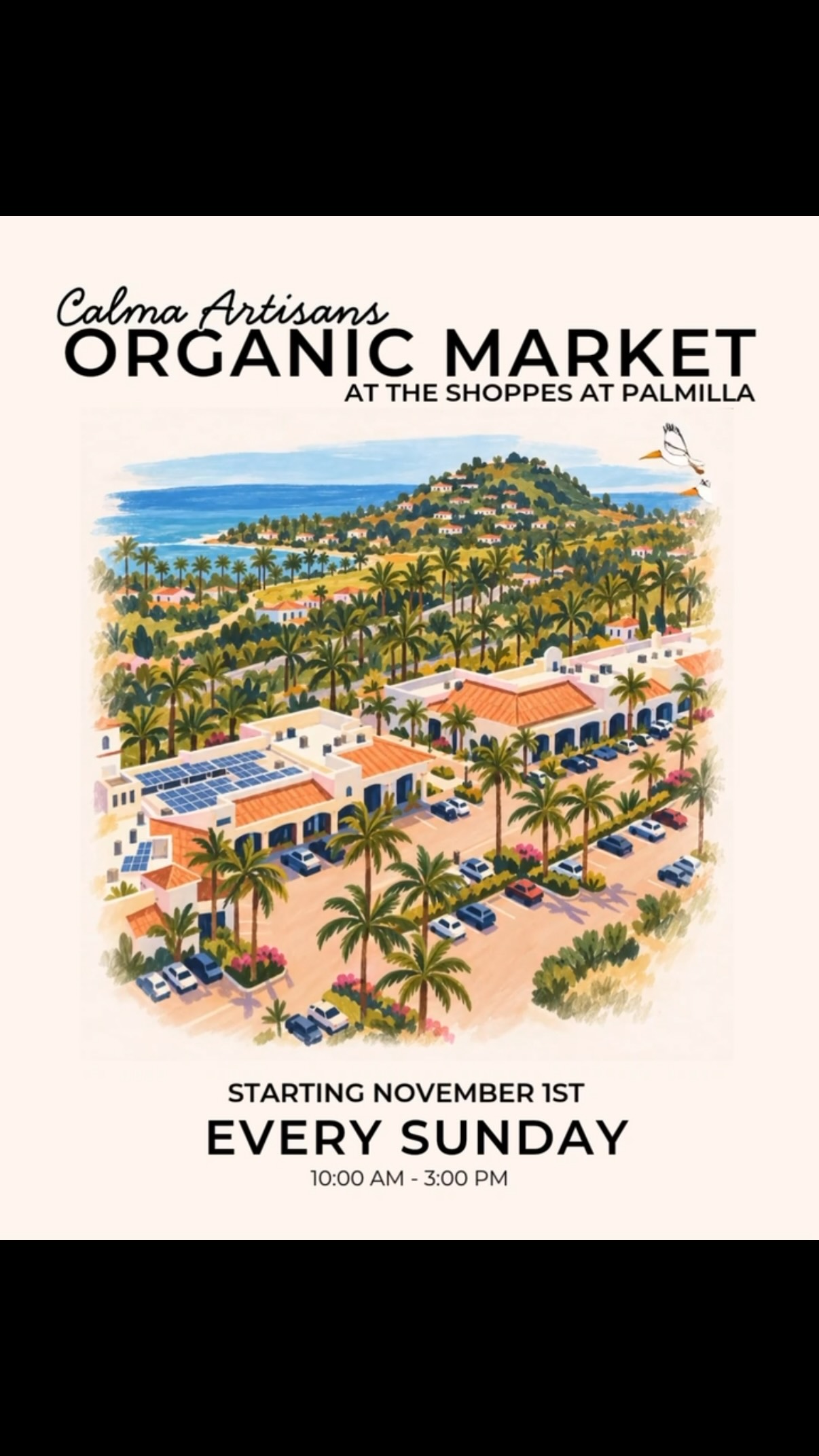 Calma Artisans Organic Market poster