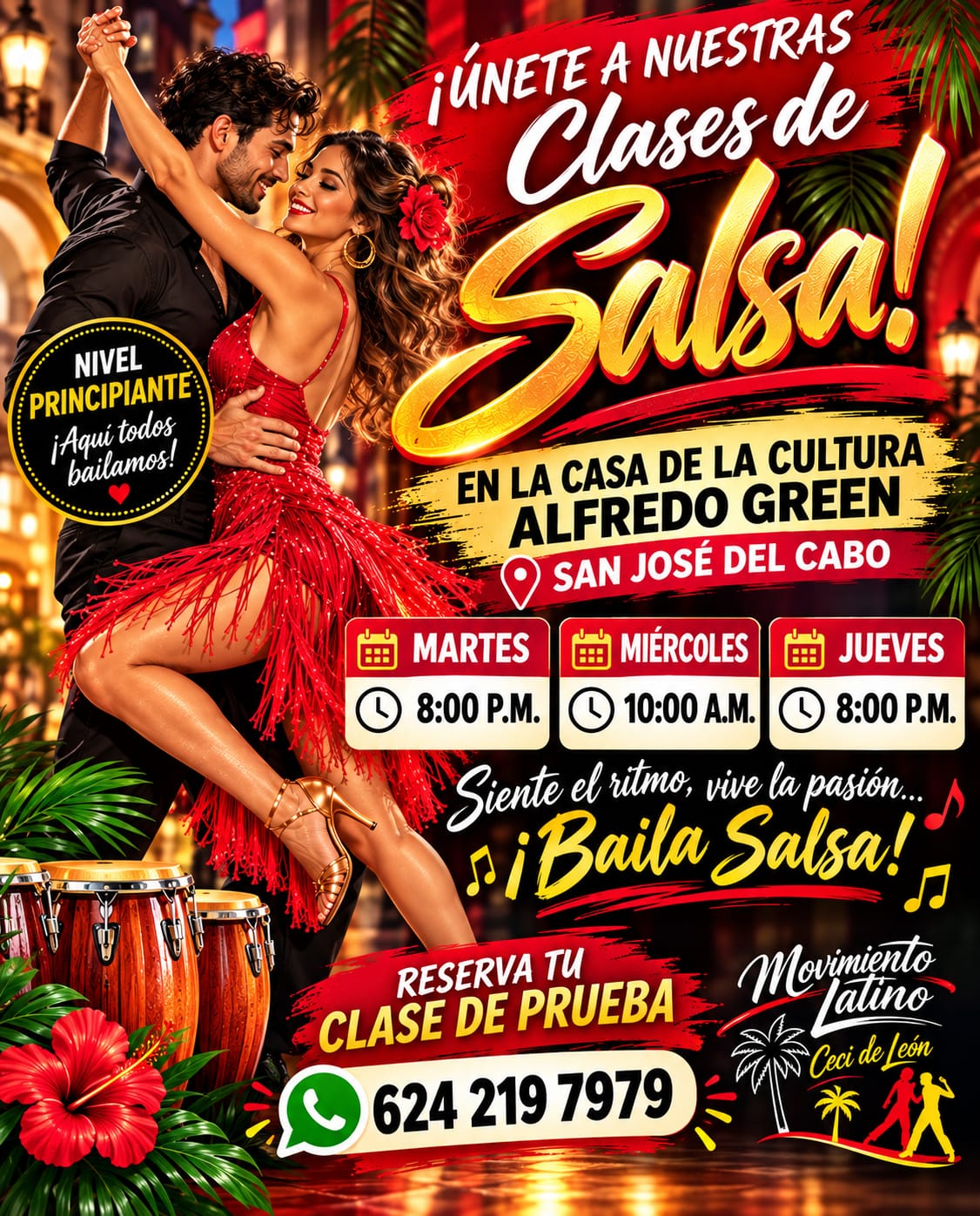 Beginner Salsa Class poster