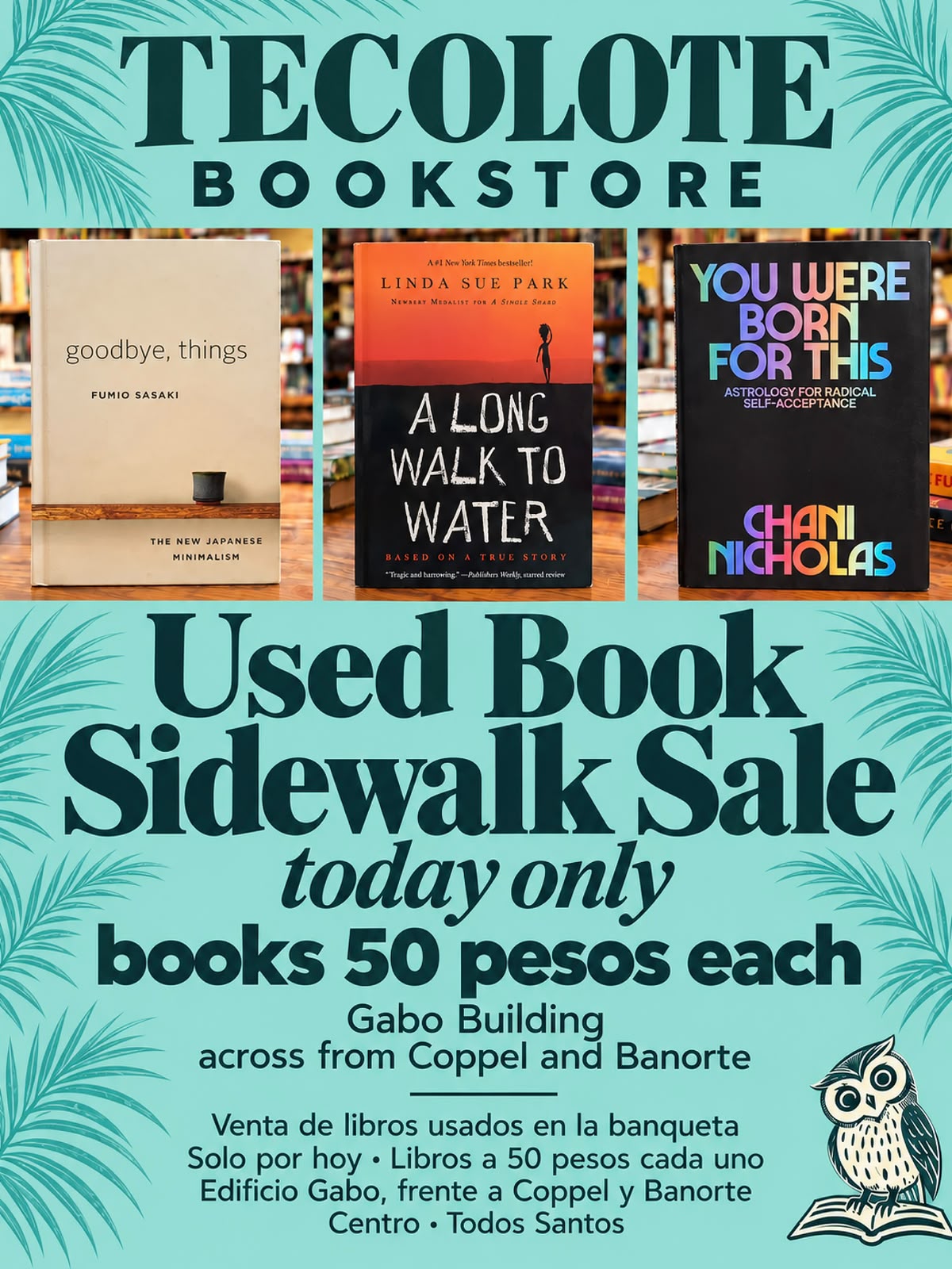 Tecolote Bookstore Sidewalk Book Sale — used books 50 pesos (Todos Santos)