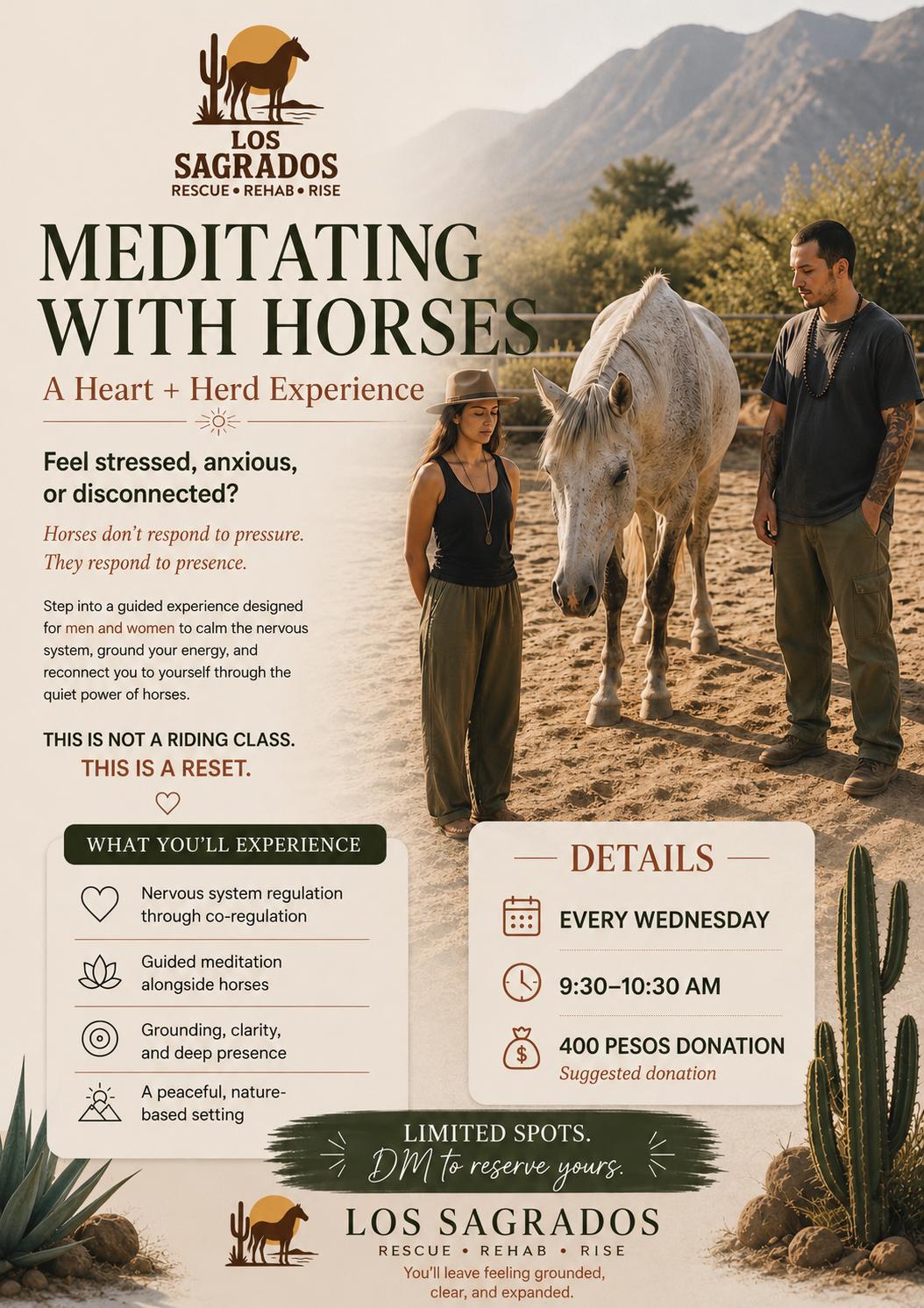 Meditating with Horses poster