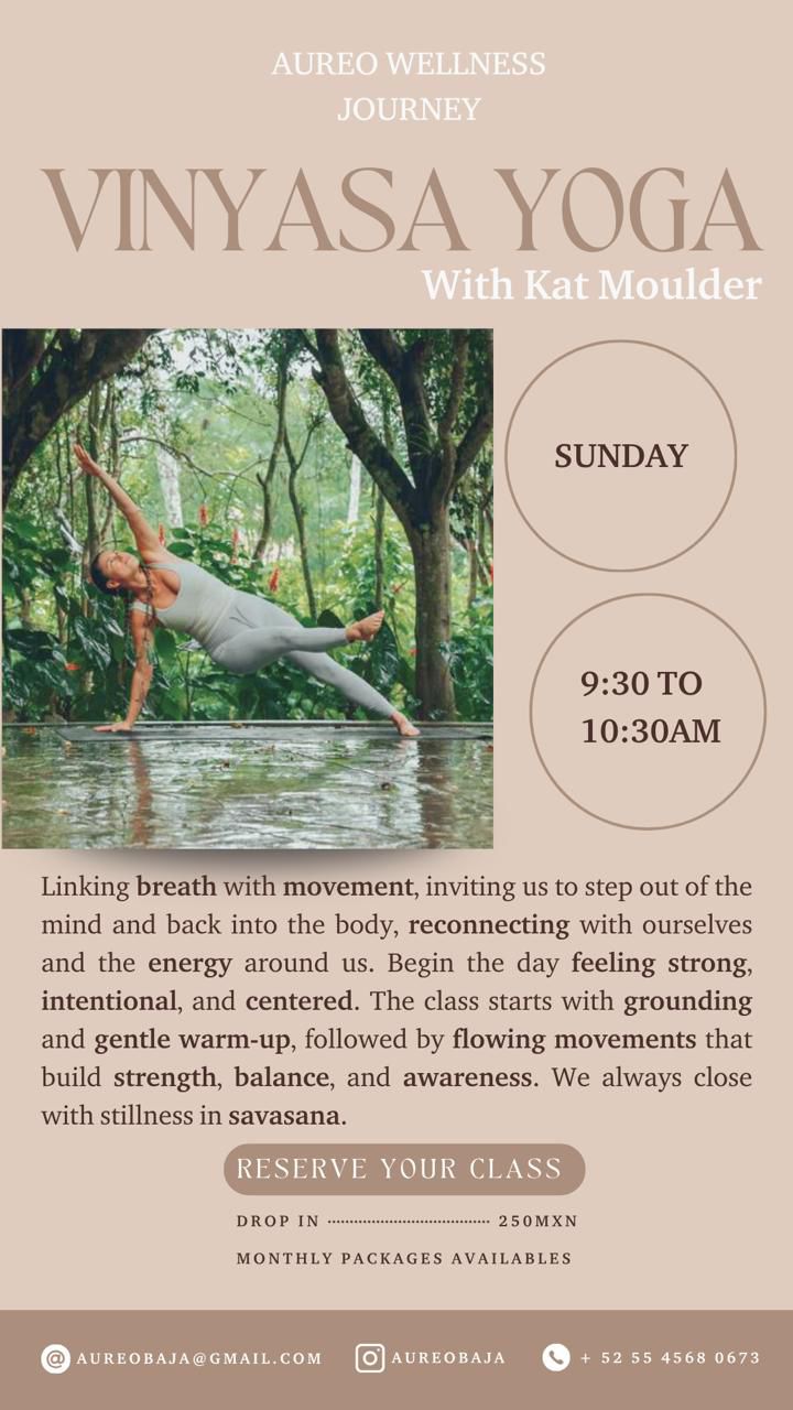 Vinyasa Yoga