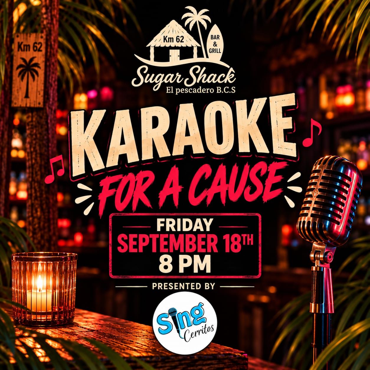 Karaoke for a Cause poster
