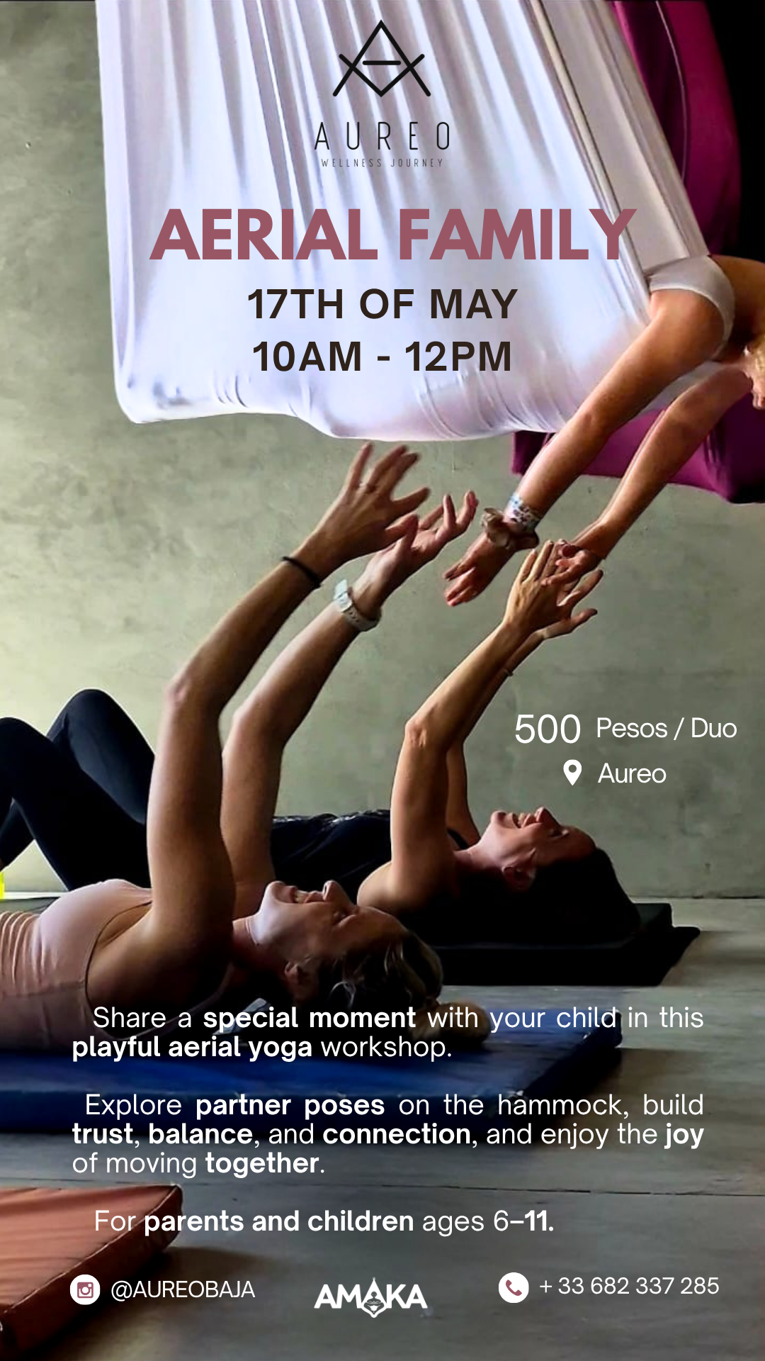 Aerial Family poster