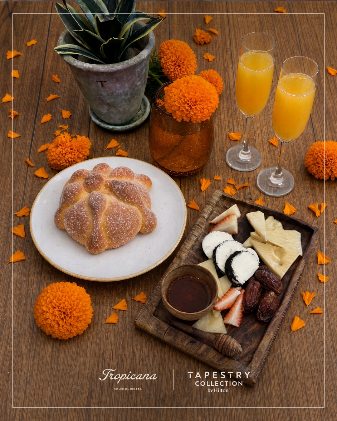Day of the Dead Brunch — Tropicana San José del Cabo