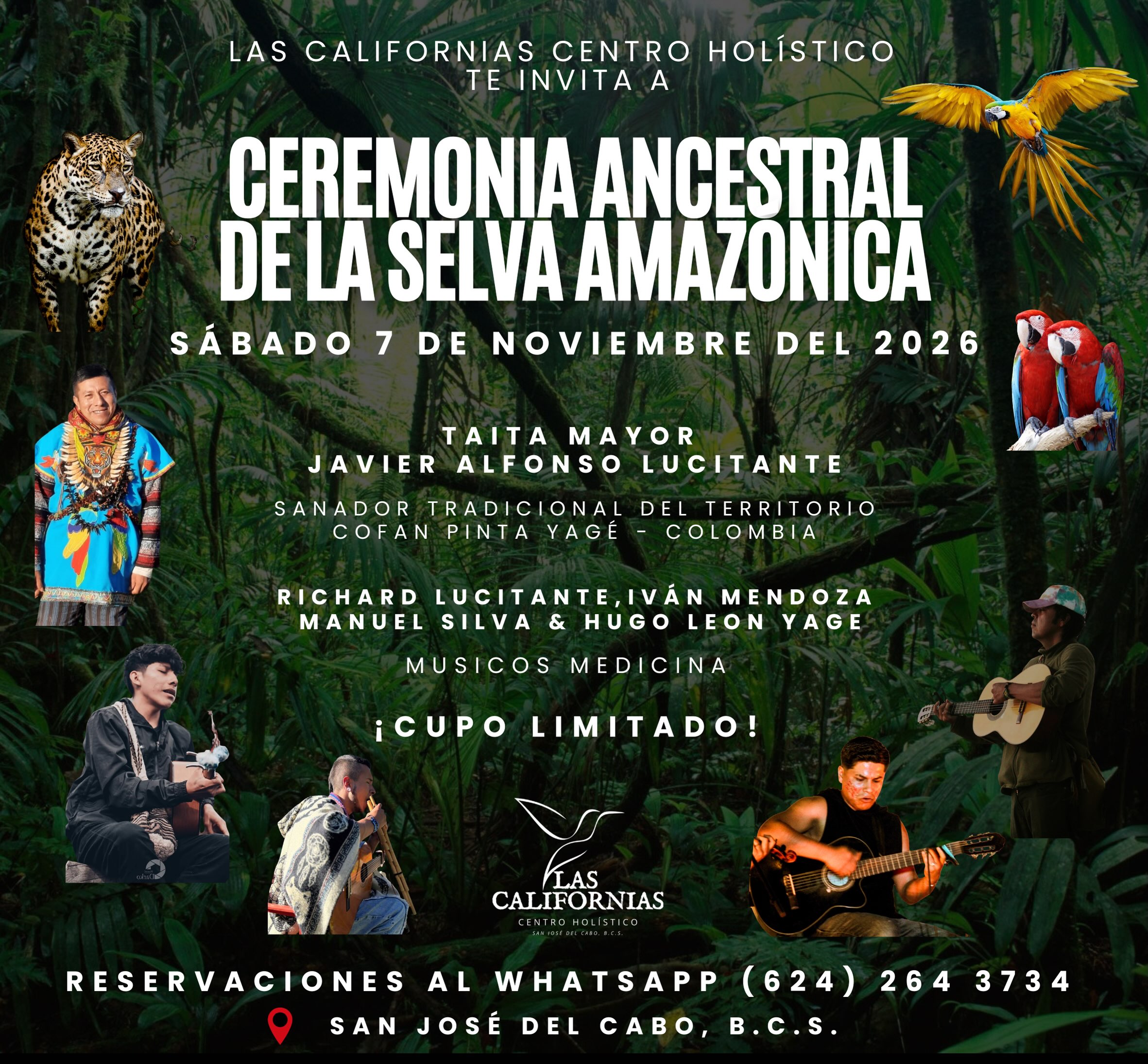 Ancestral Ceremony of the Amazonian Rainforest poster