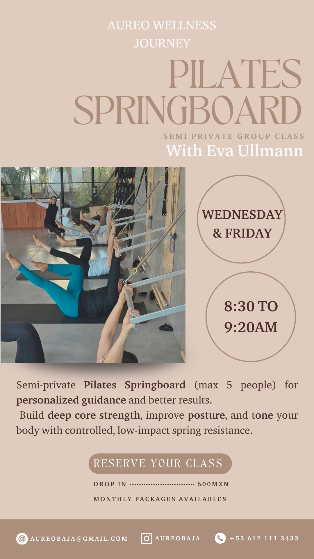 Pilates Springboard with Eva Ullmann poster