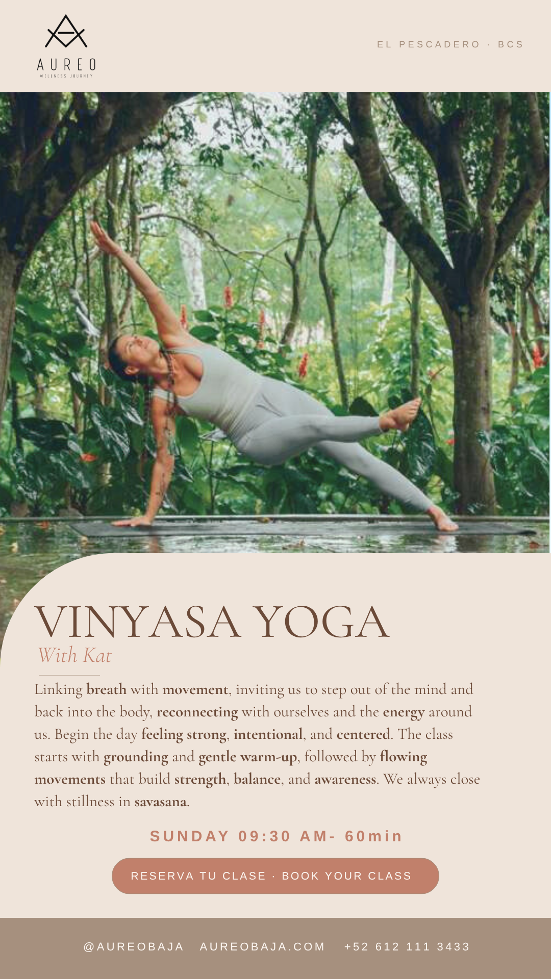 Vinyasa Yoga with Kat poster