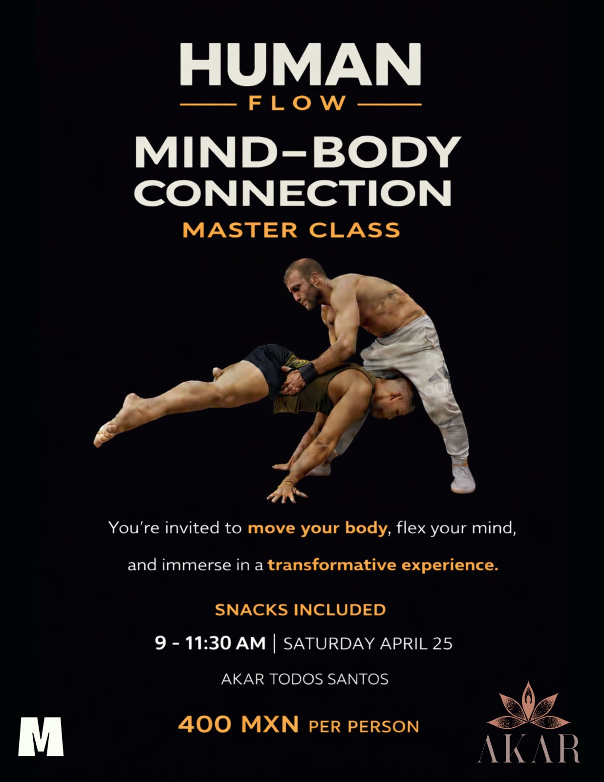 Human Flow Mind-Body Connection Master Class