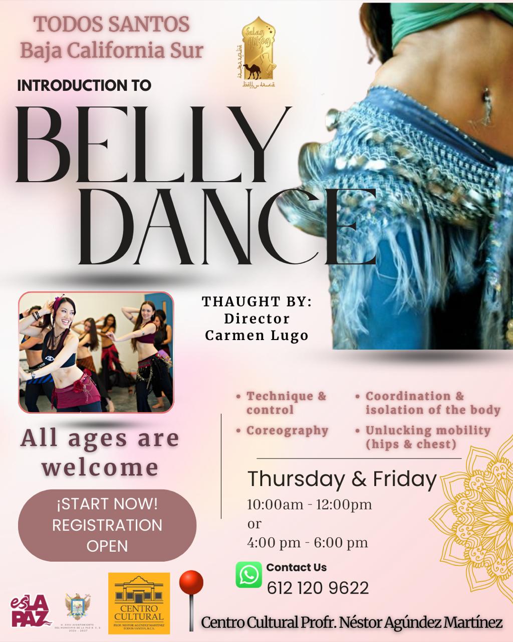 Introduction to Belly Dance poster