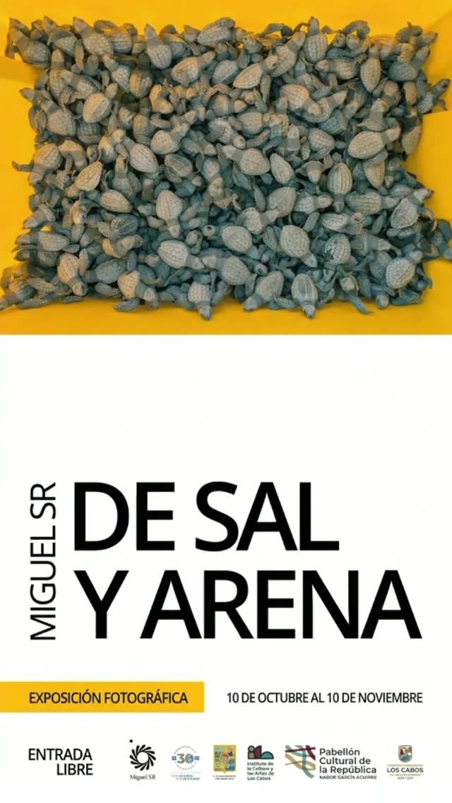 “De Sal y Arena” — exposición fotográfica de tortugas marinas de Miguel SR (Pabellón Cultural)
