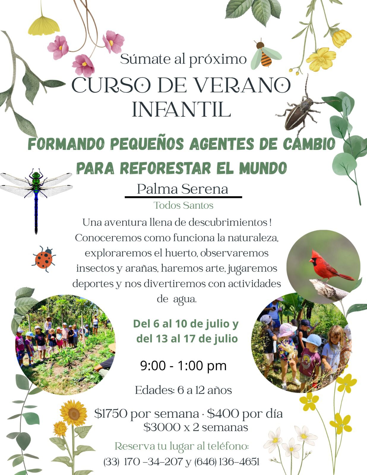 Summer Nature Course - Week 1 poster