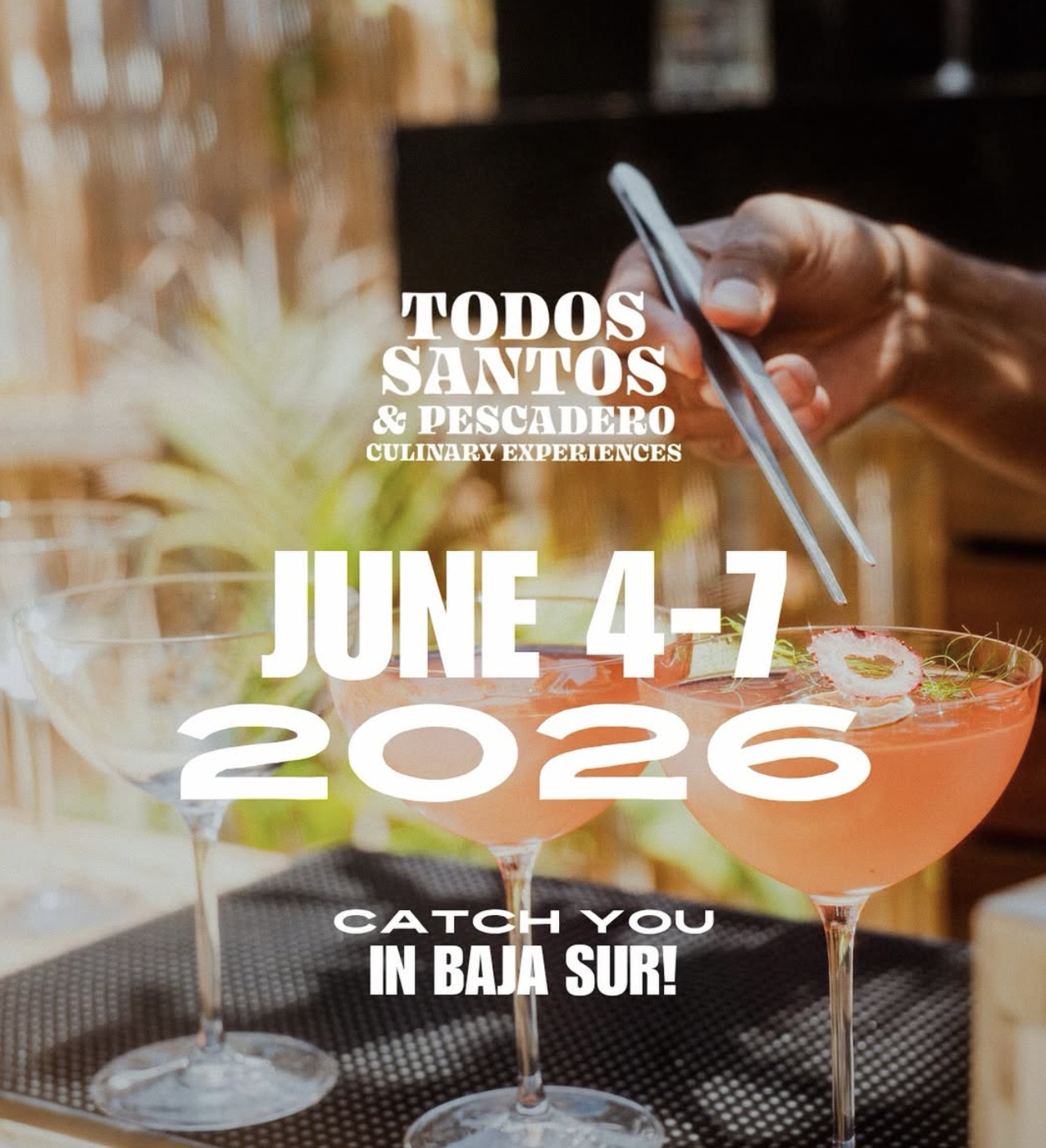 TSP Culinary Experience- Day 1