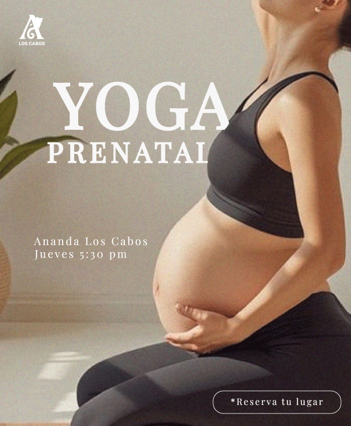 Prenatal Yoga Class